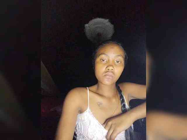 Stella11 webcam