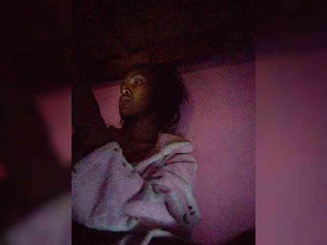 Stella11 webcam