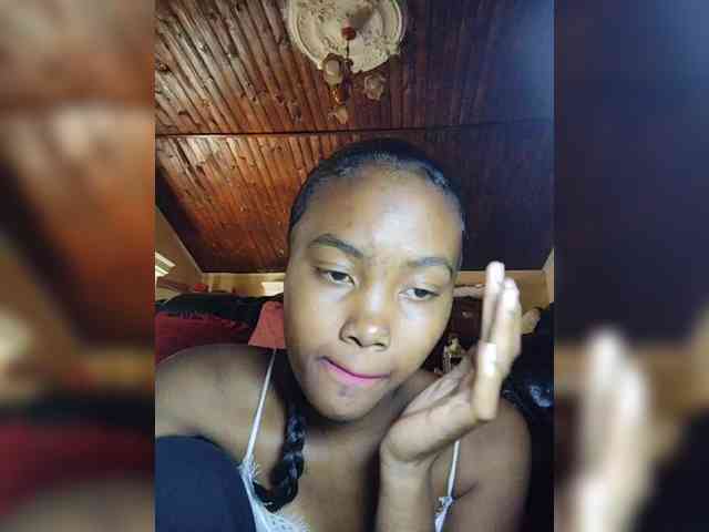 Stella11 webcam