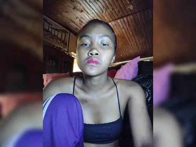 Stella11 webcam