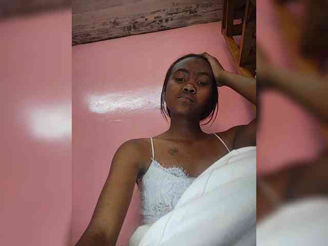Stella11 webcam