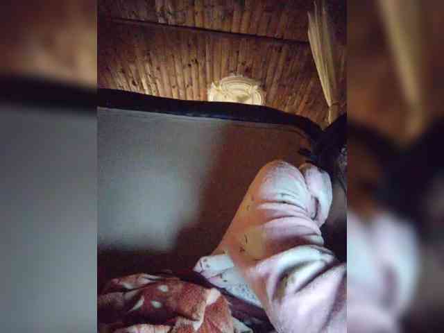 Stella11 webcam