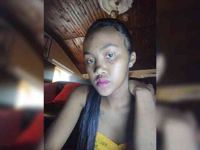 Stella11 webcam