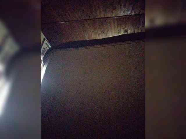 Stella11 webcam