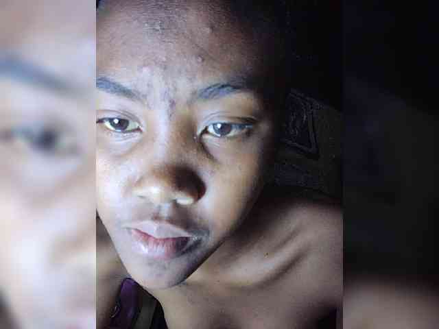 Stella11 webcam