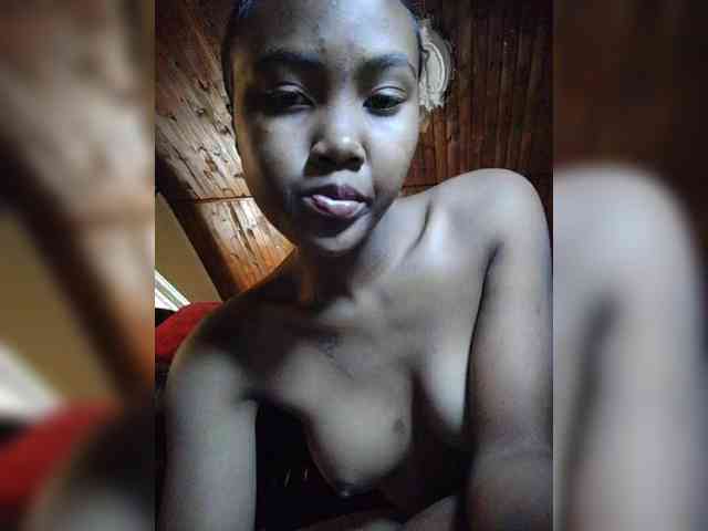 Stella11 webcam