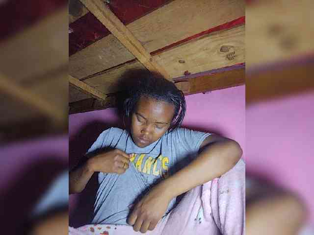 Stella11 webcam