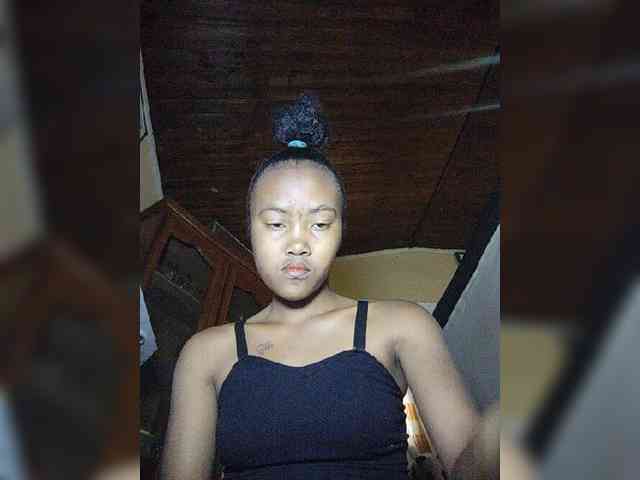 Stella11 webcam