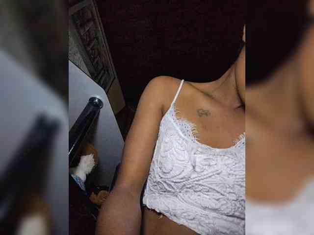 Stella11 webcam