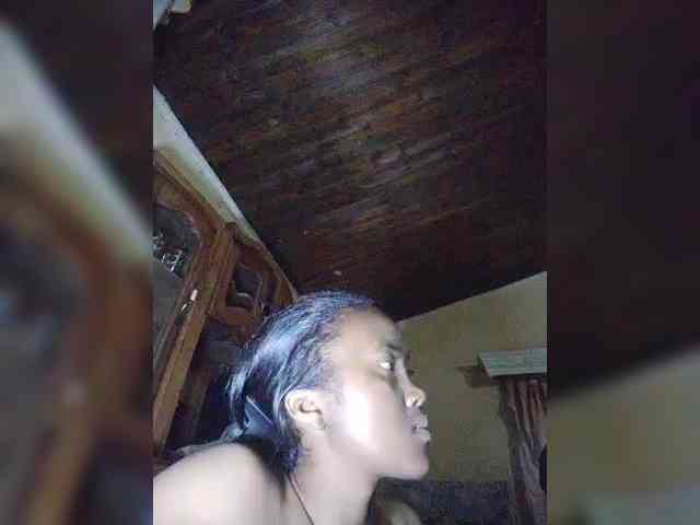 Stella11 webcam