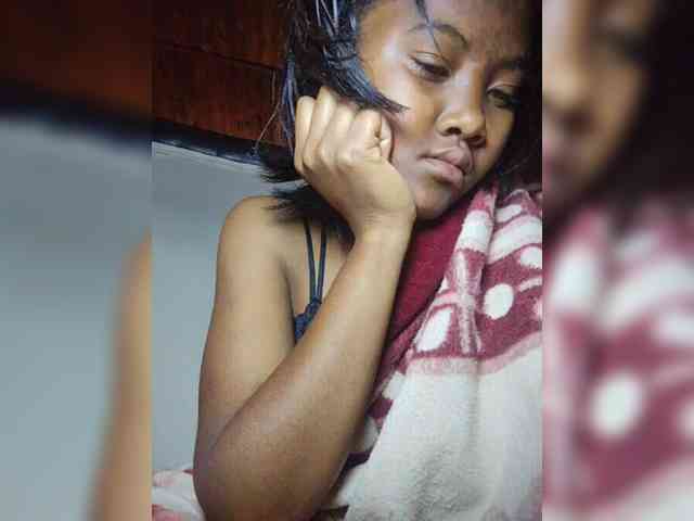 Stella11 webcam