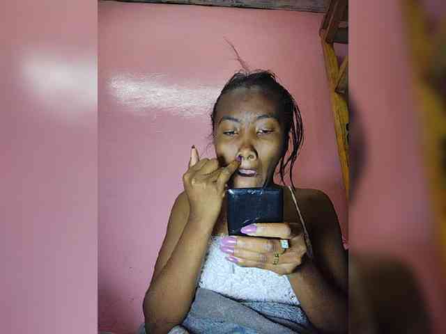 Stella11 webcam