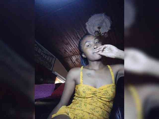 Stella11 webcam