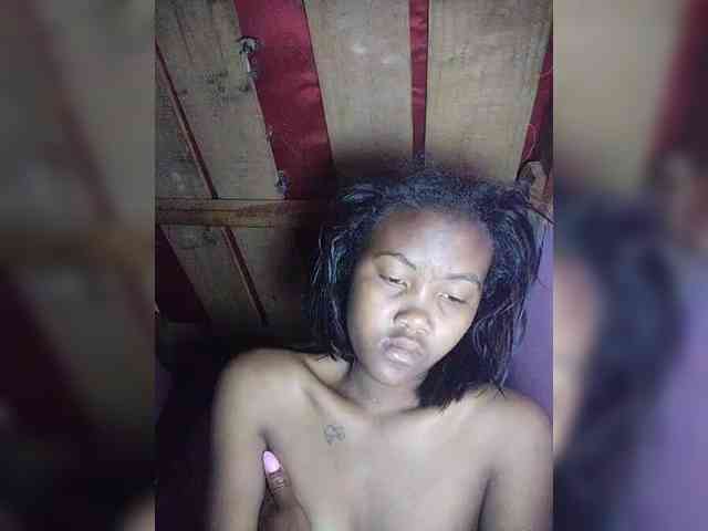 Stella11 webcam