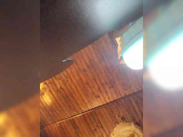 Stella11 webcam