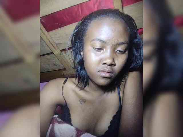 Stella11 webcam