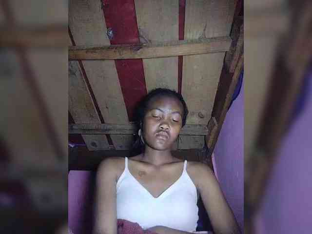 Stella11 webcam