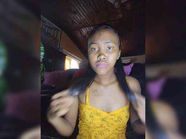 Stella11 webcam
