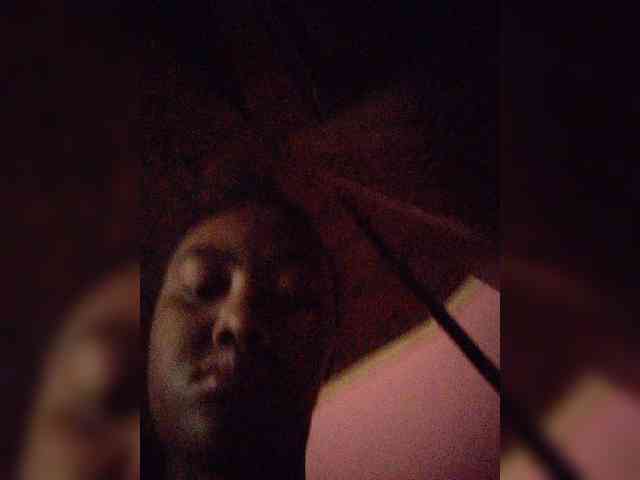 Stella11 webcam