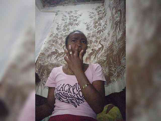 Stella11 webcam