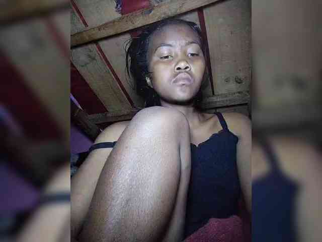 Stella11 webcam