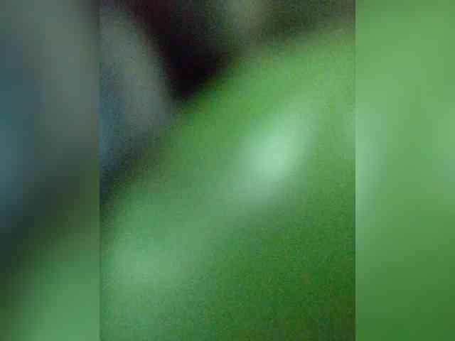 Stella11 webcam