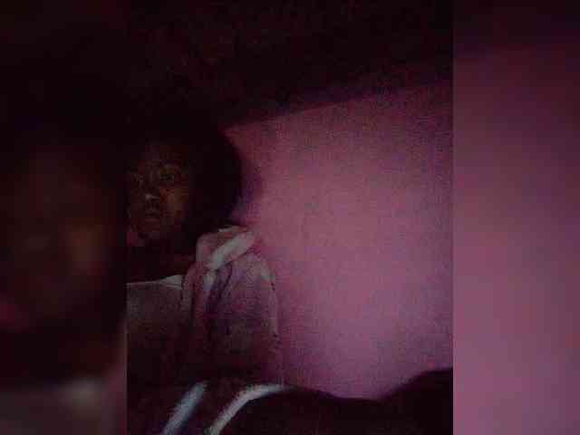 Stella11 webcam