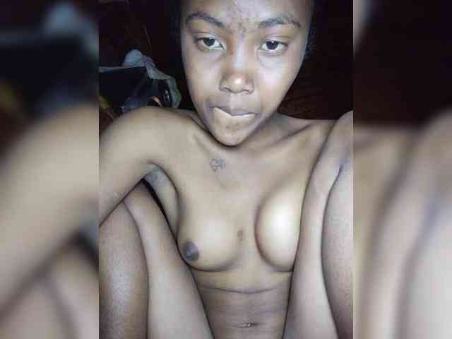 Stella11 webcam