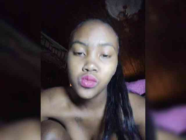 Stella11 webcam