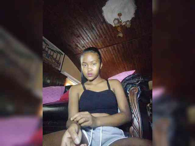 Stella11 webcam