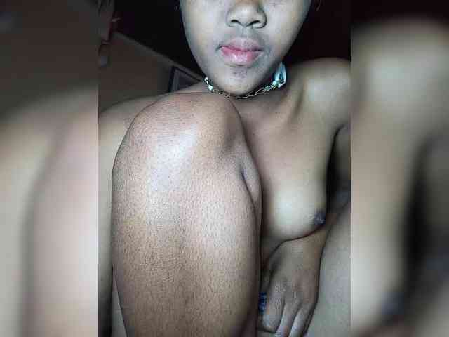 Stella11 webcam