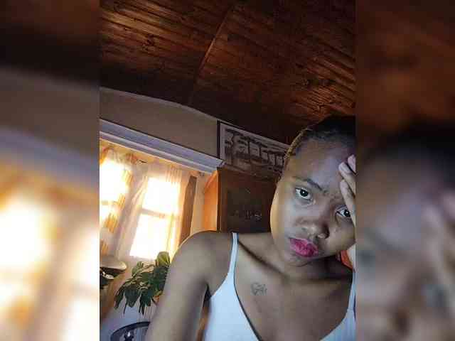 Stella11 webcam
