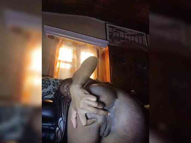 Stella11 webcam