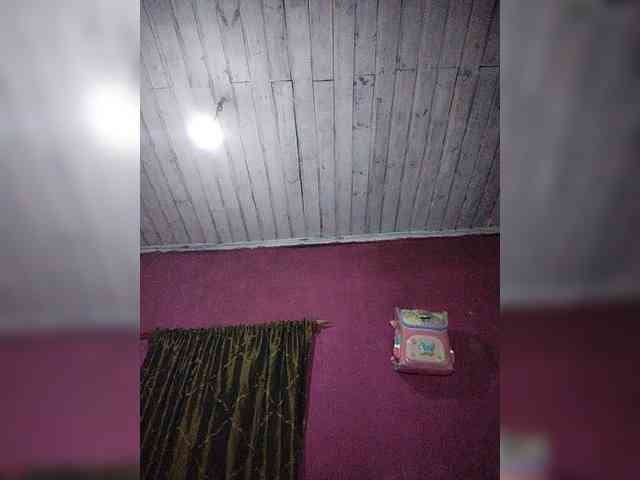 Stella11 webcam