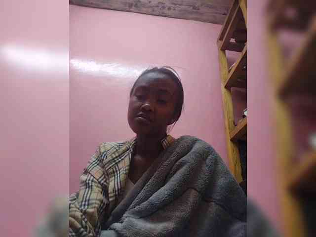 Stella11 webcam