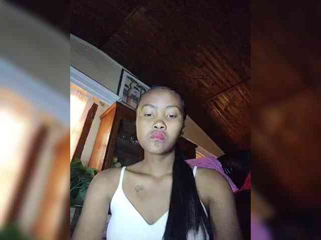 Stella11 webcam