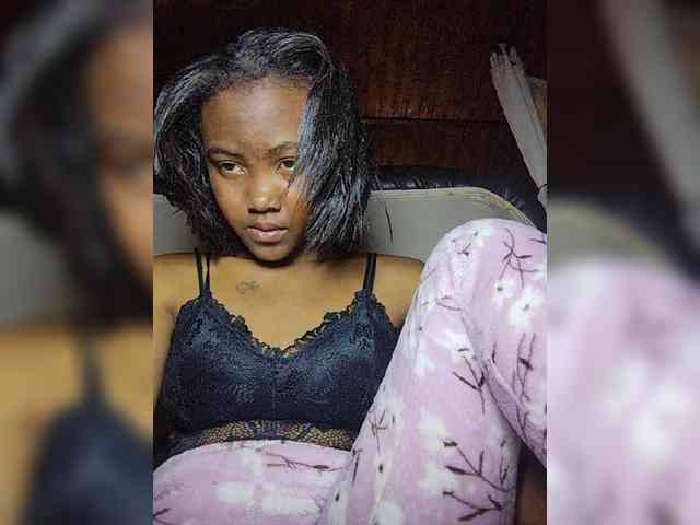 Stella11 webcam