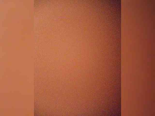 Stella11 webcam