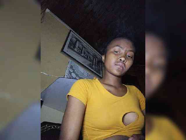 Stella11 webcam