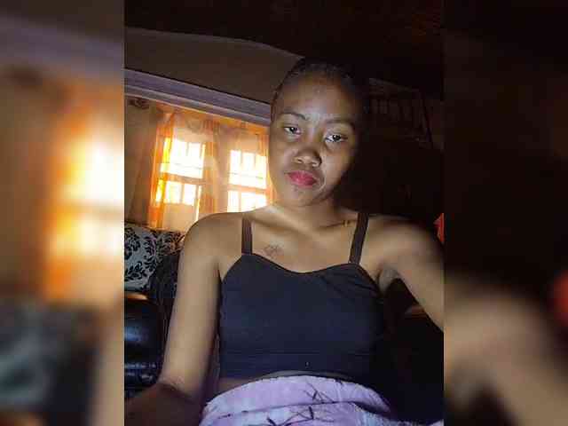 Stella11 webcam