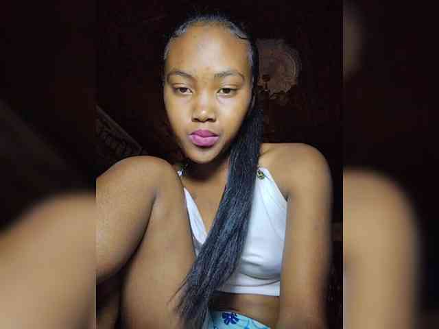 Stella11 webcam