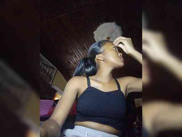 Stella11 webcam
