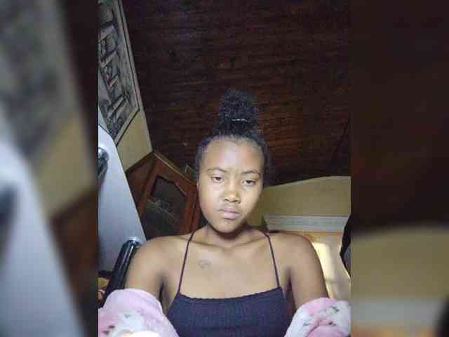 Stella11 webcam