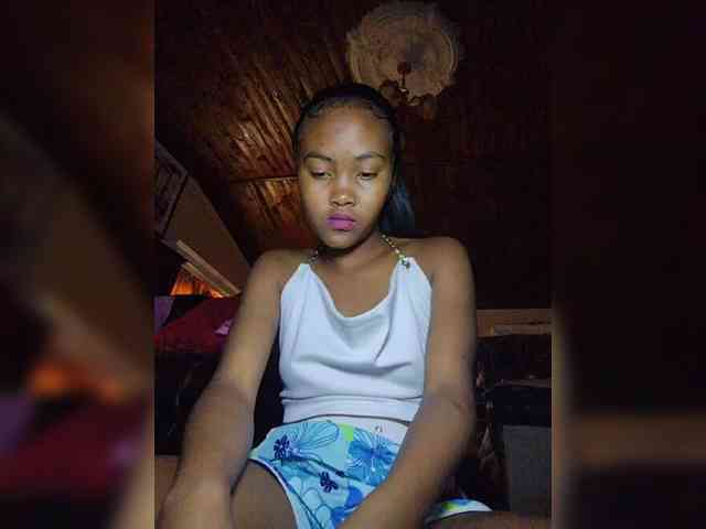 Stella11 webcam