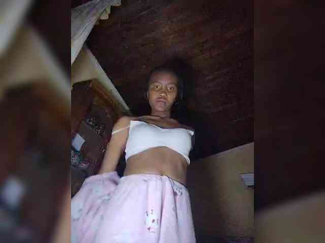 Stella11 webcam