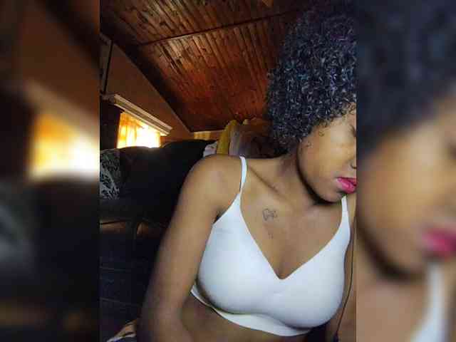 Stella11 webcam