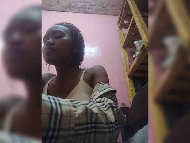 Stella11 webcam