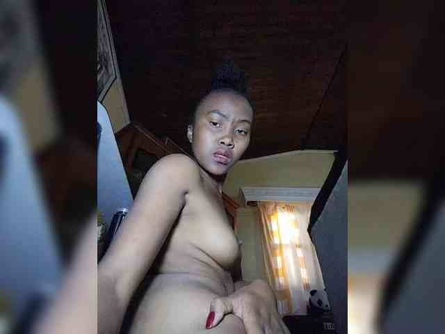 Stella11 webcam