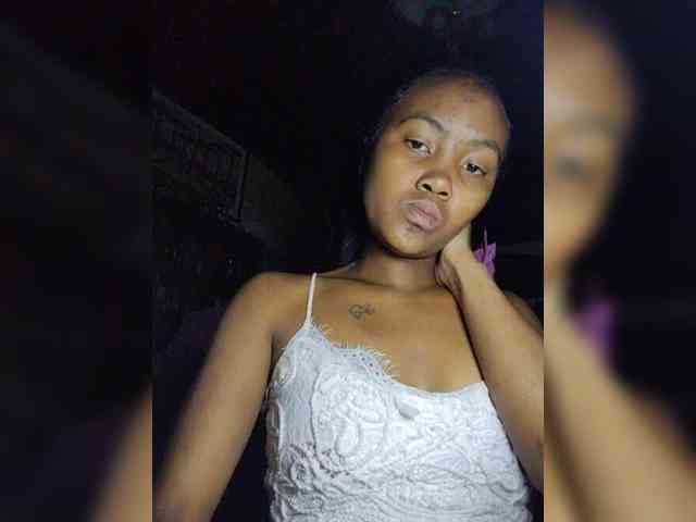 Stella11 webcam