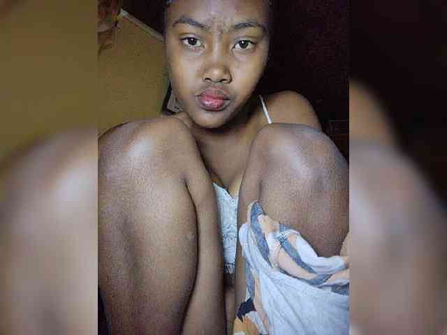 Stella11 webcam